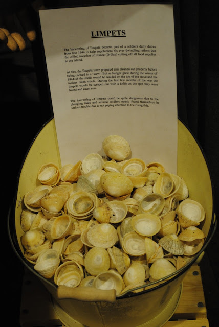 A bucket full of limpet shells. These were harvested to supplement the dwindling daily rations