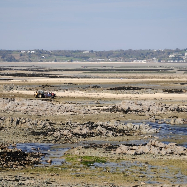 Tractor rides and oyster beds in the distance